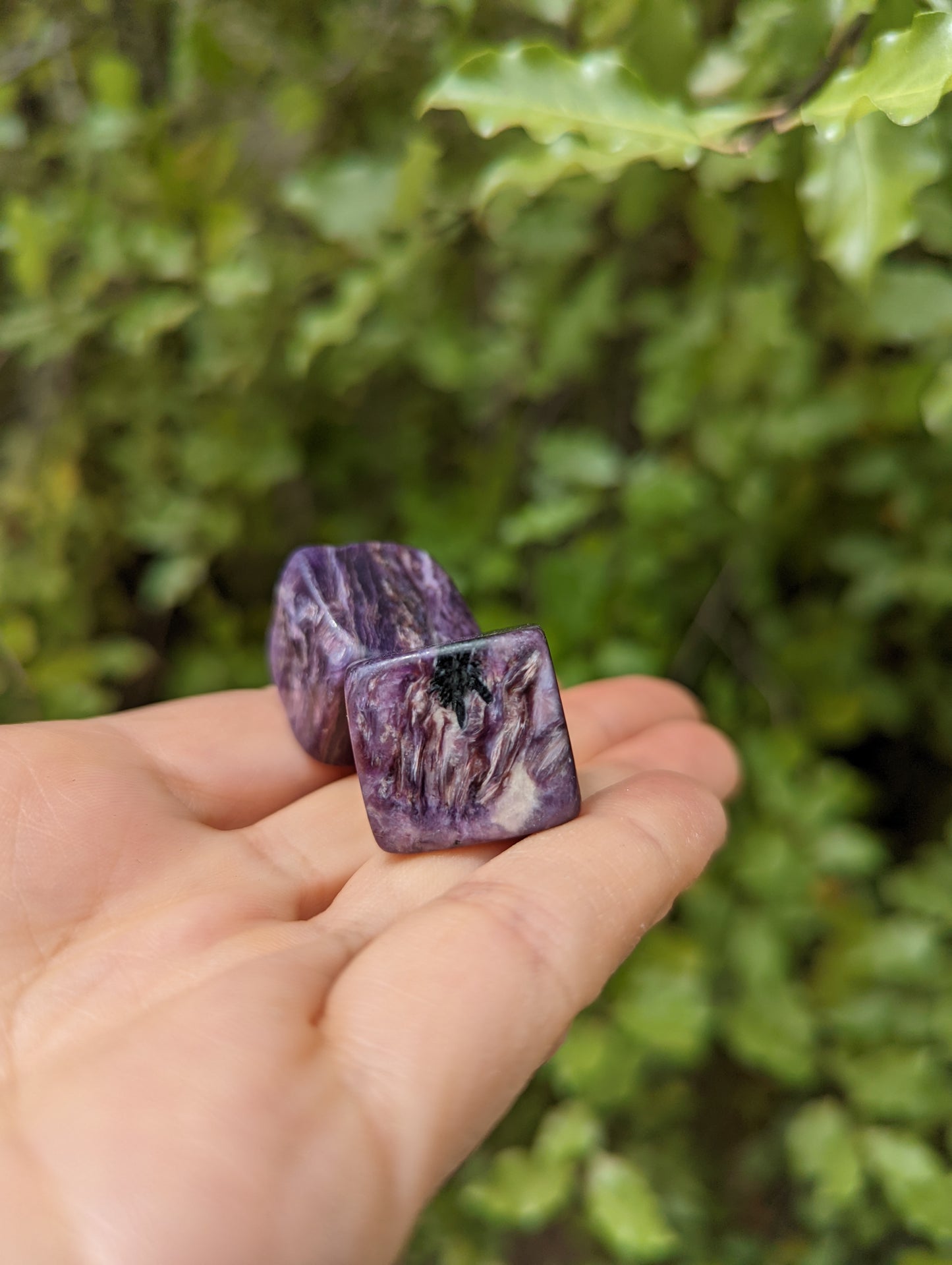 Charoite Cube Tumbles