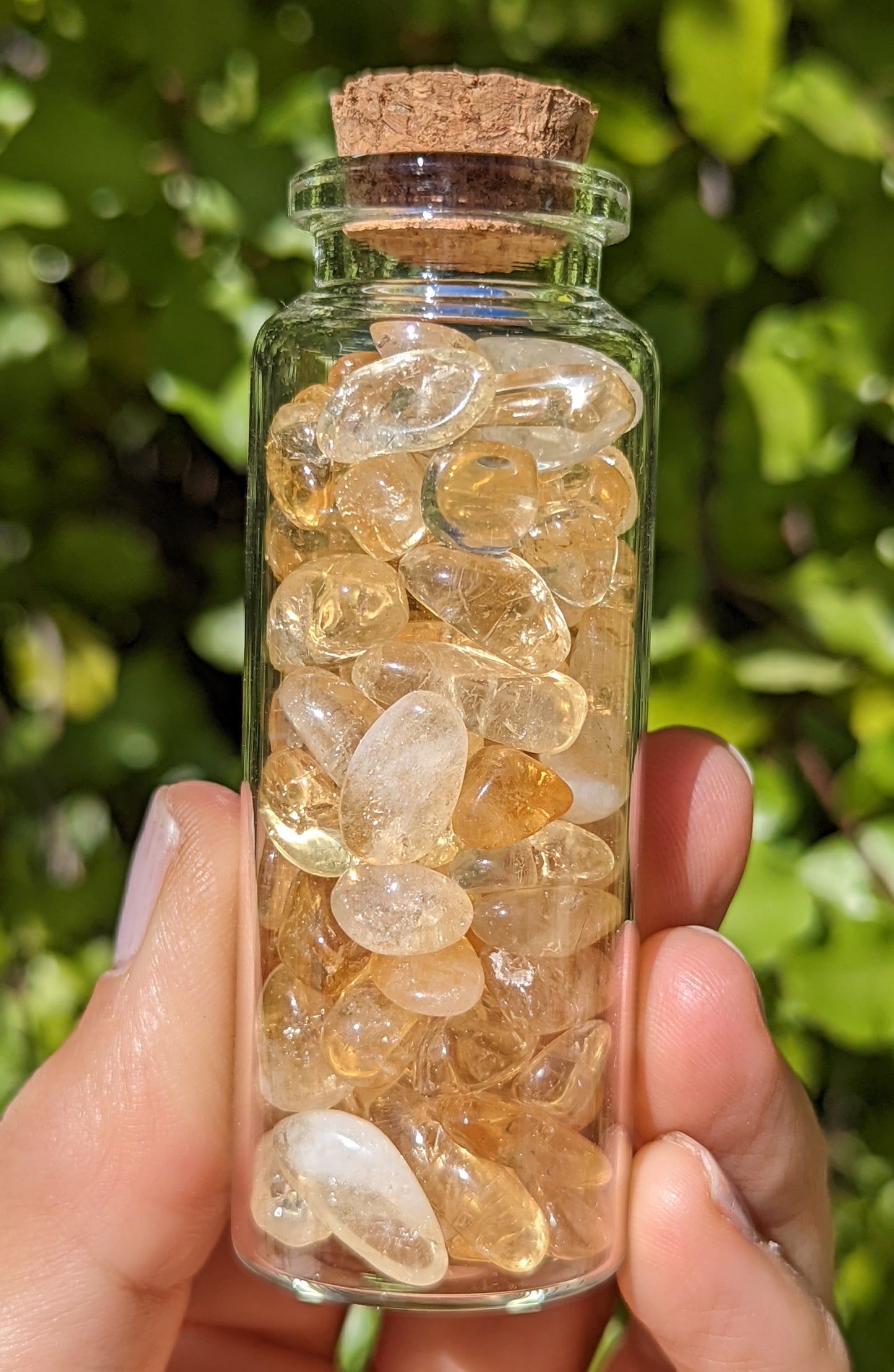 Glass Bottle Tube 8cm