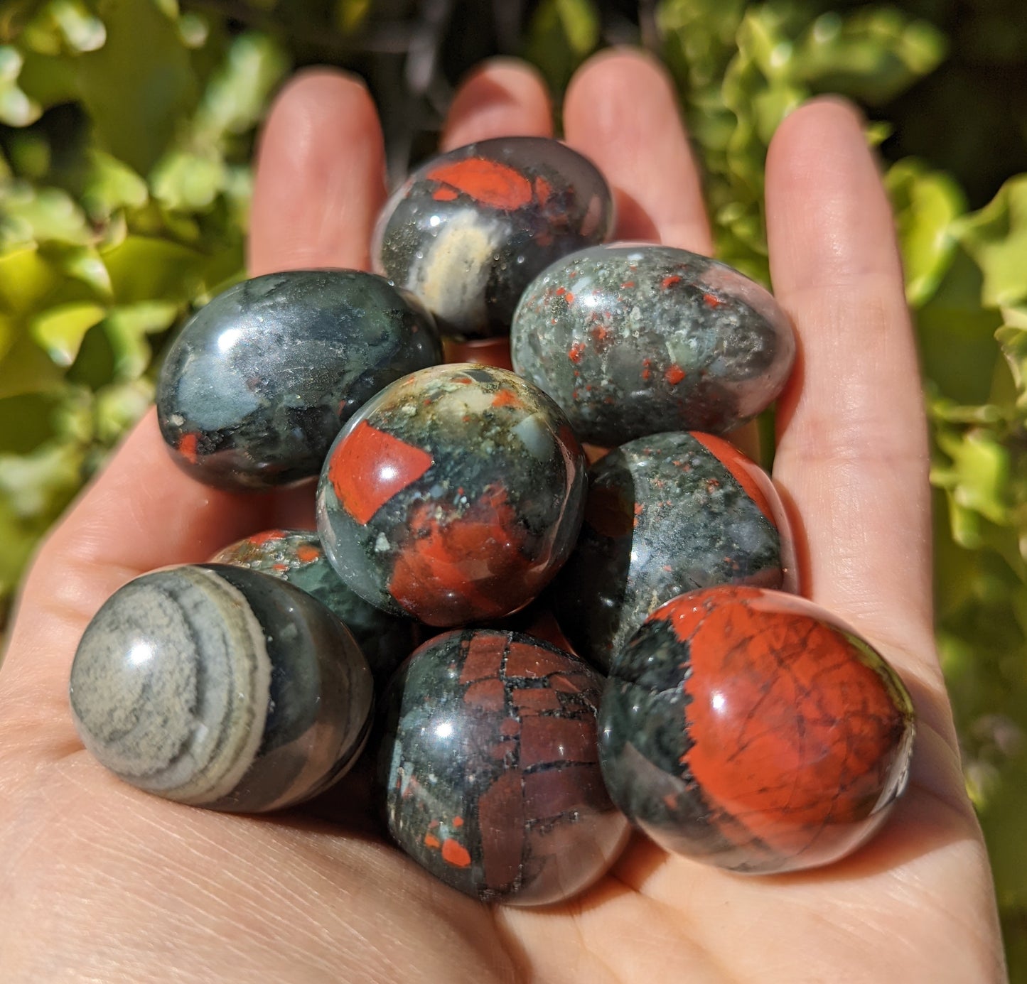 Bloodstone Jasper Tumbles