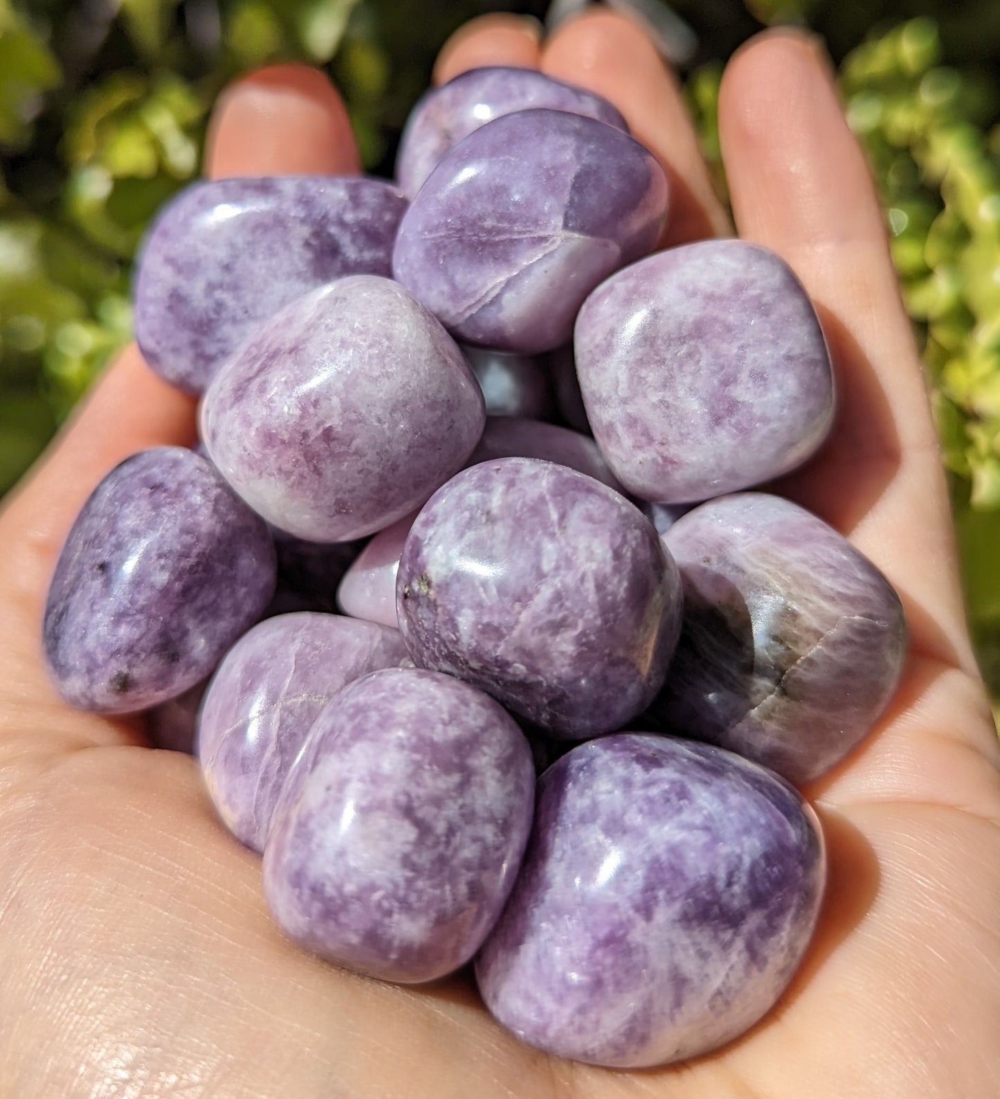 Lepidolite Light Tumbles