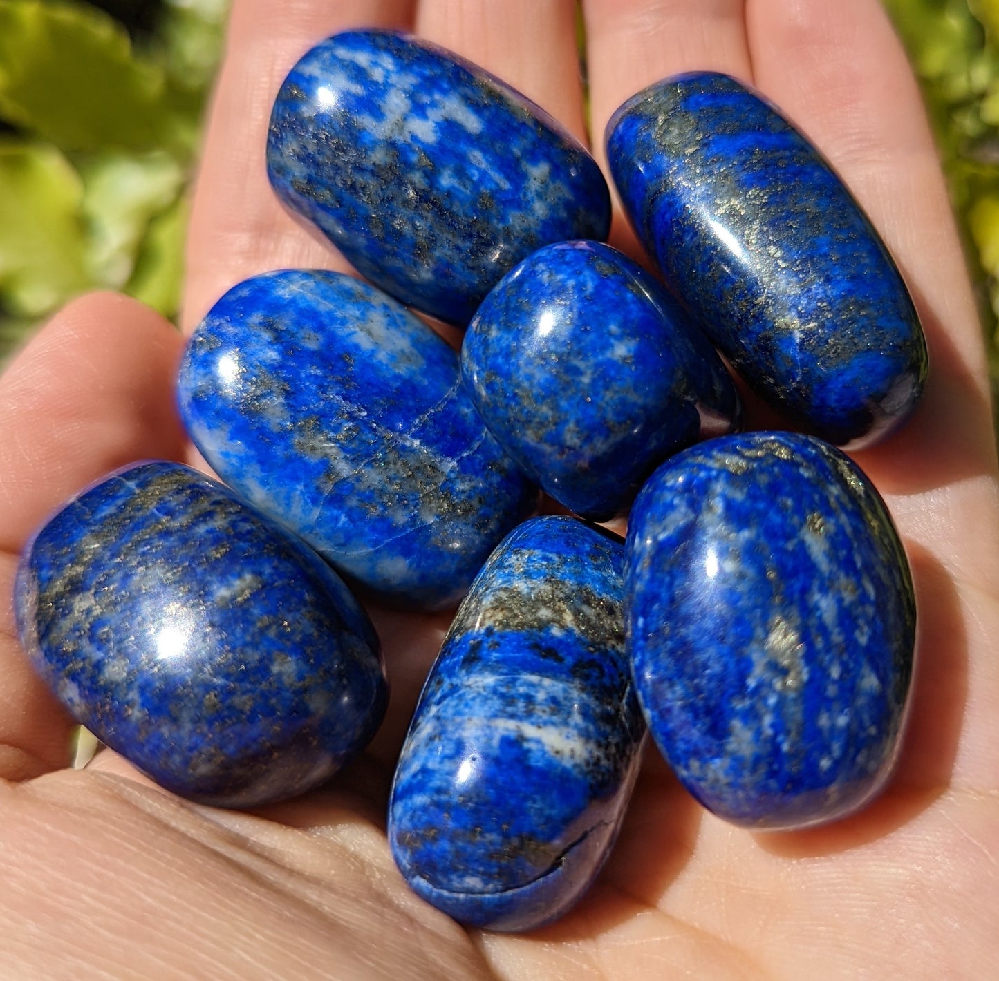 Lapis Lazuli Tumbles