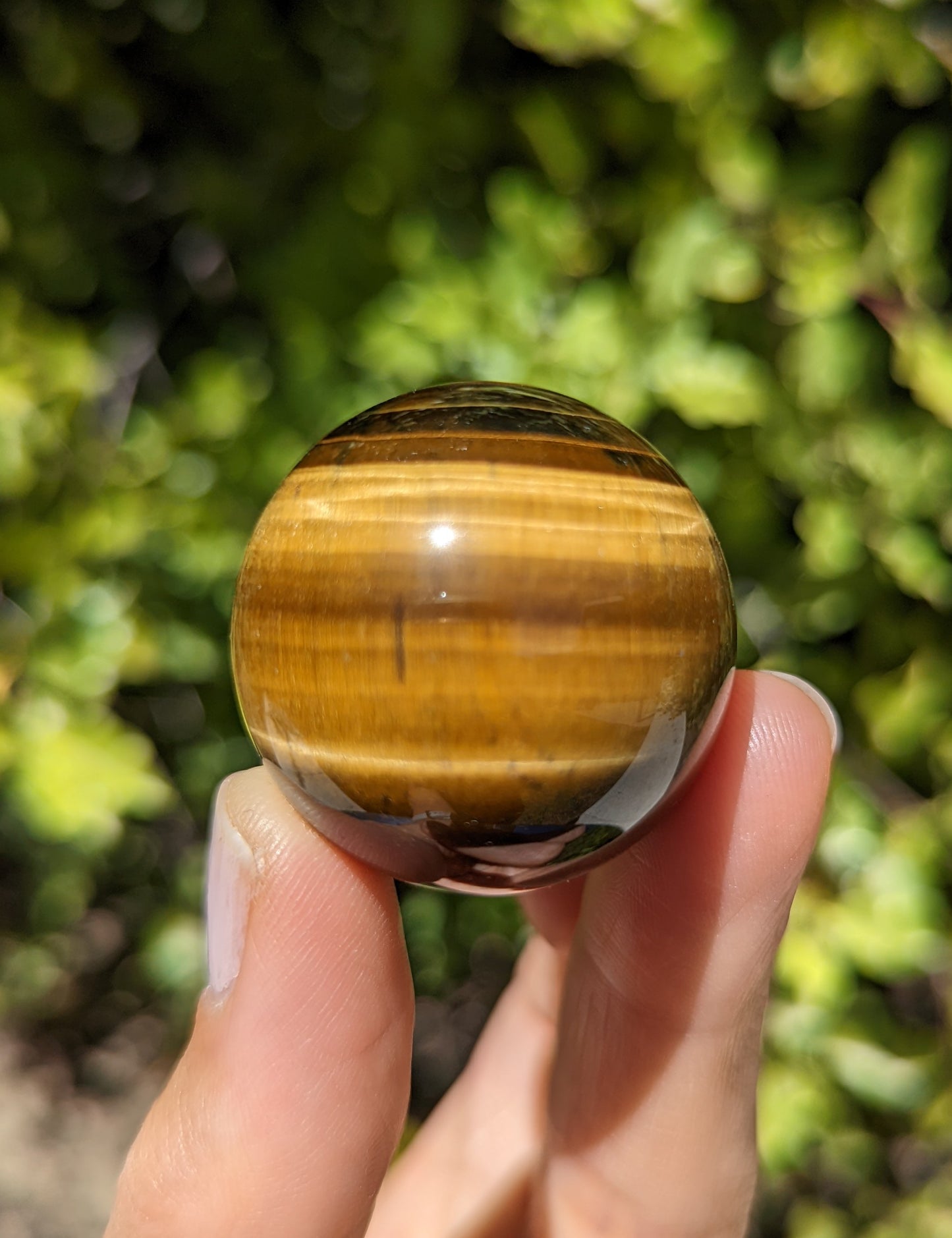 Tigers Eye Sphere