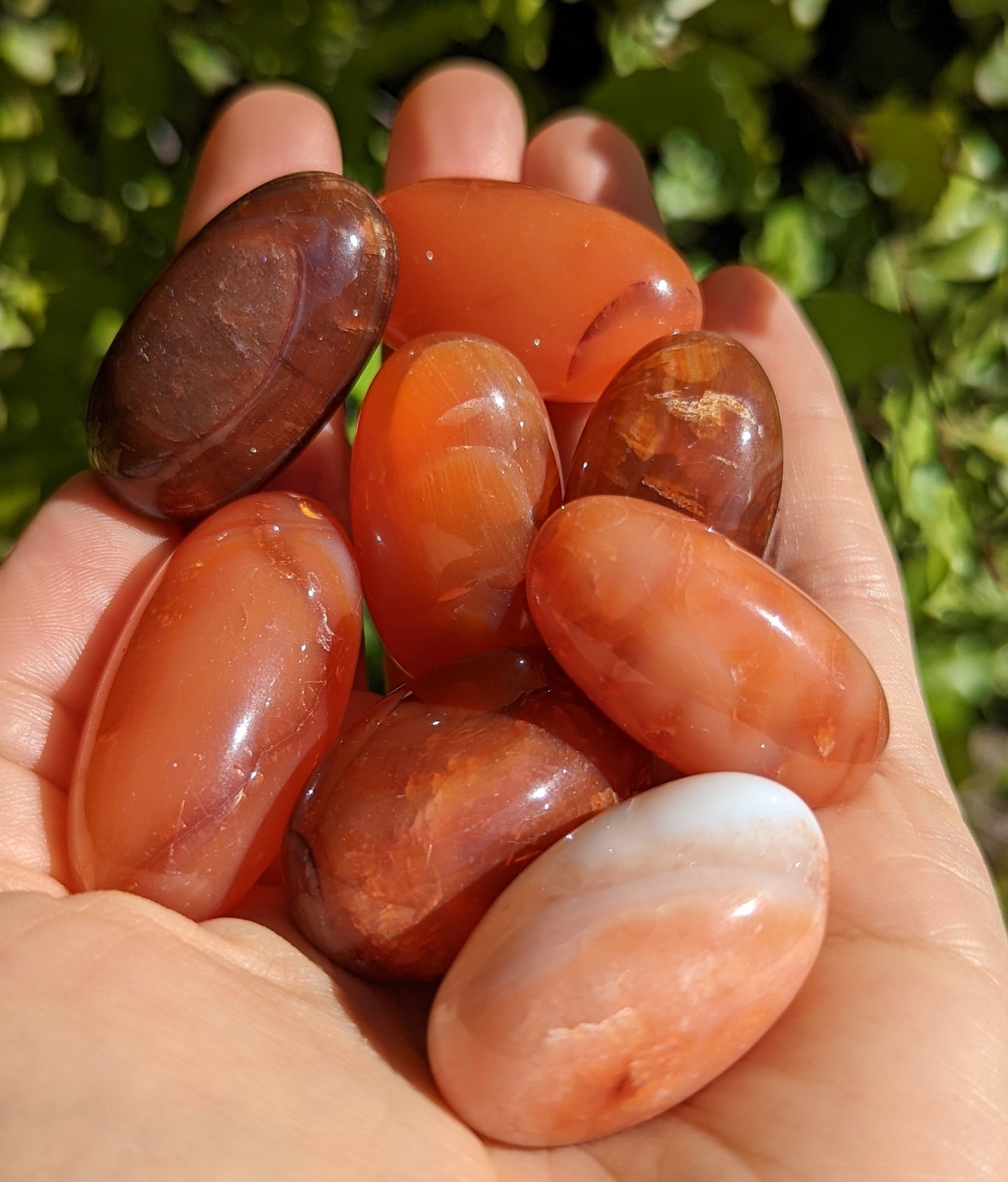 Carnelian Agate Tumbles
