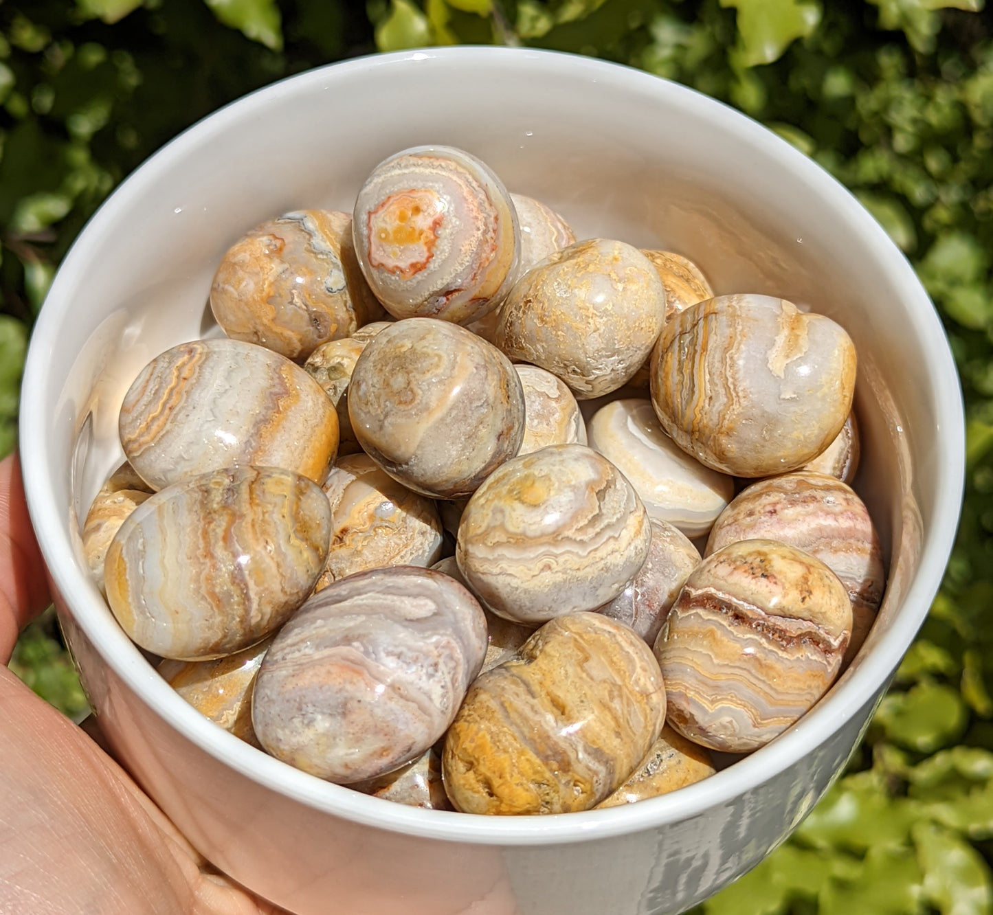 Crazy Lace Agate Tumbles
