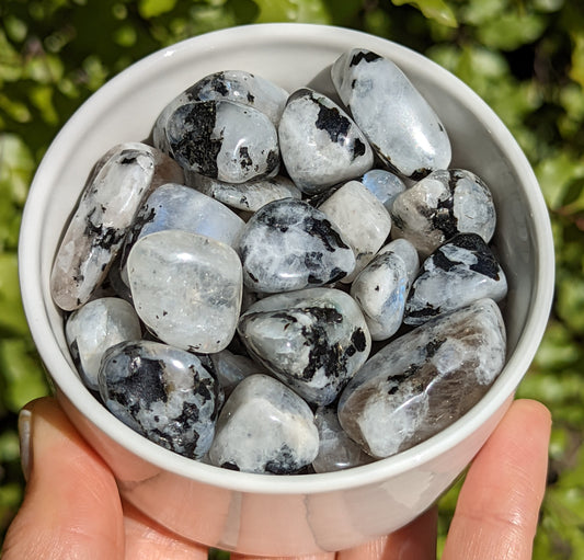 Rainbow Moonstone Tumbles Extra Small