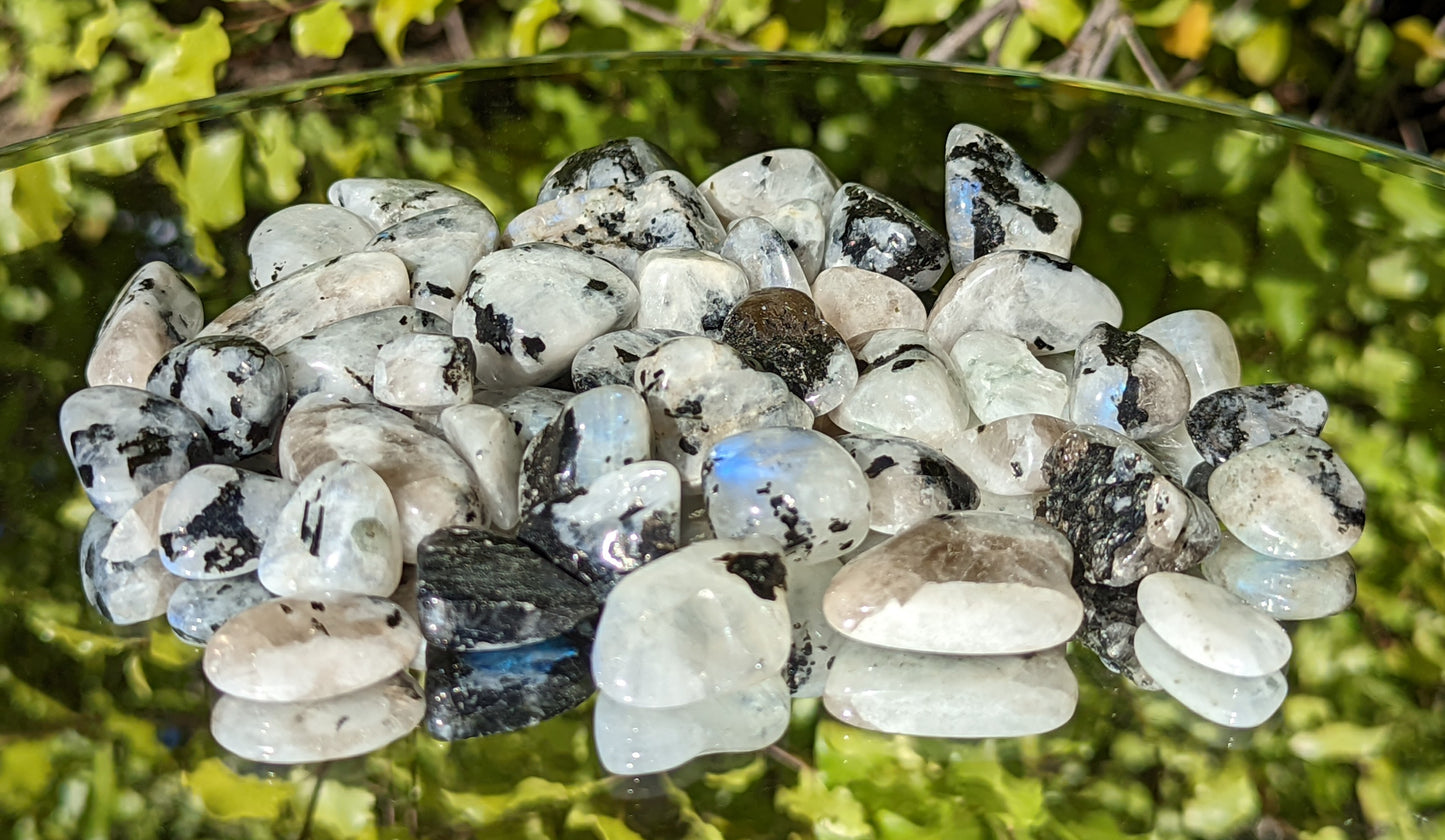 Rainbow Moonstone Tumbles Extra Small
