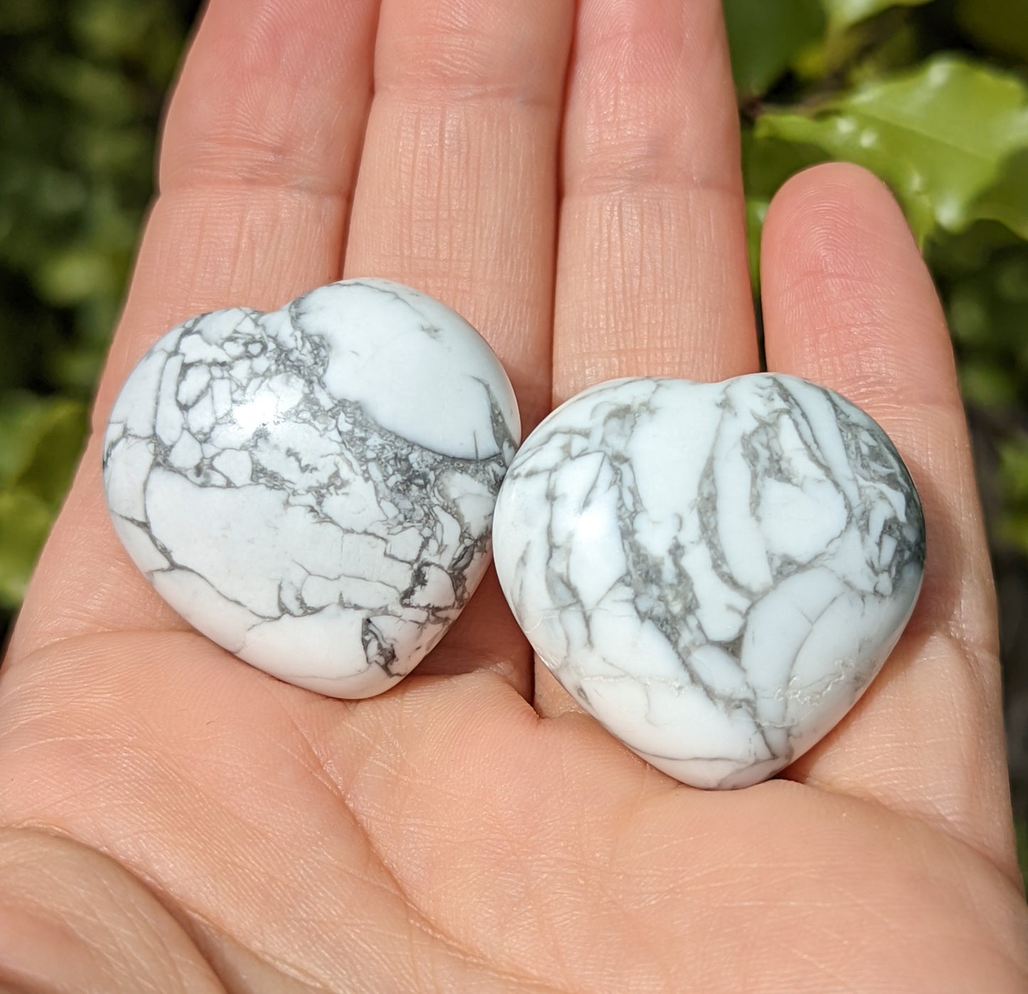 Howlite Hearts
