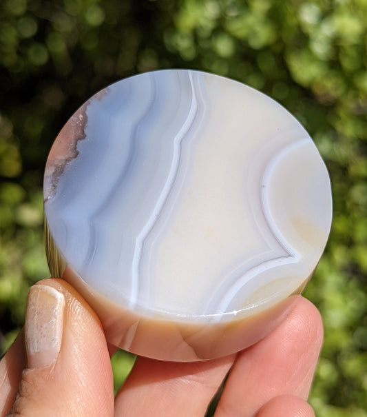 Flower Agate Coaster