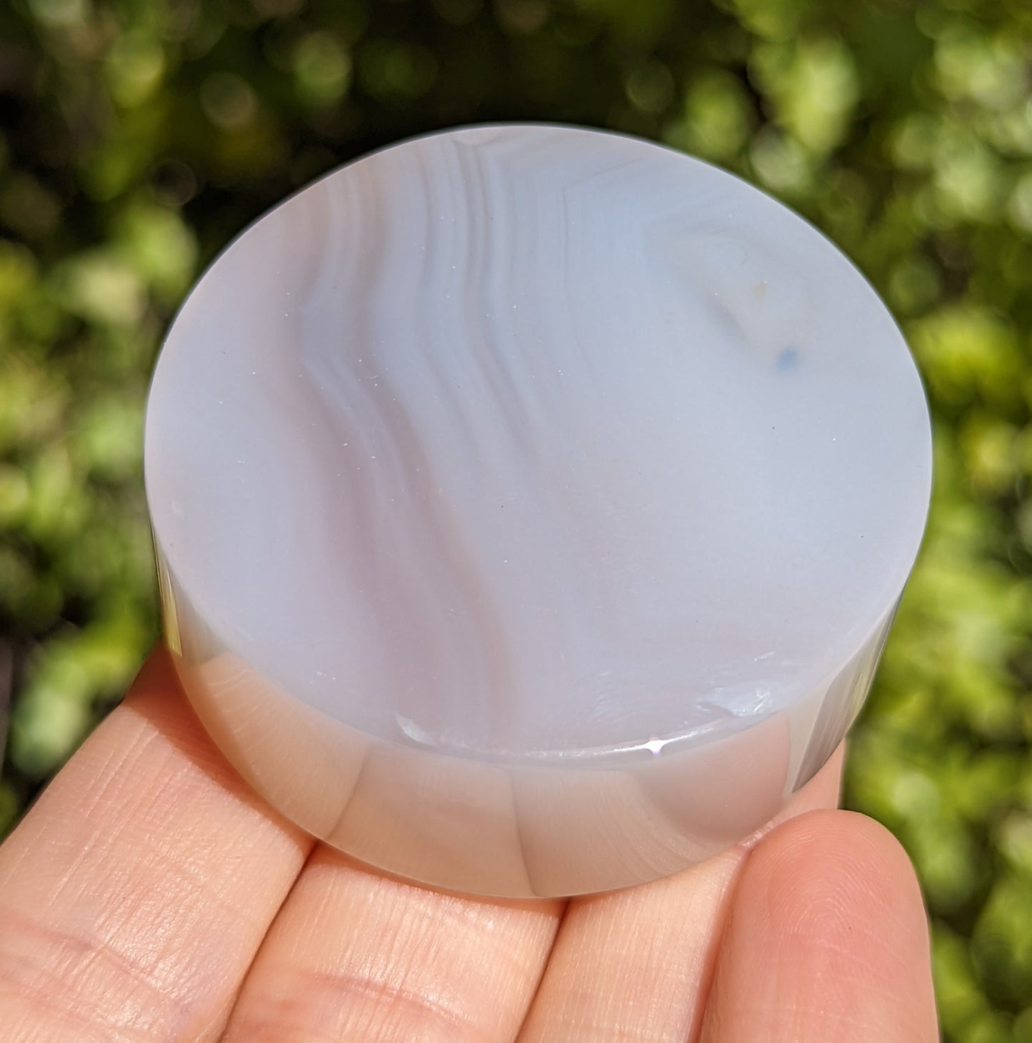 Flower Agate Coaster