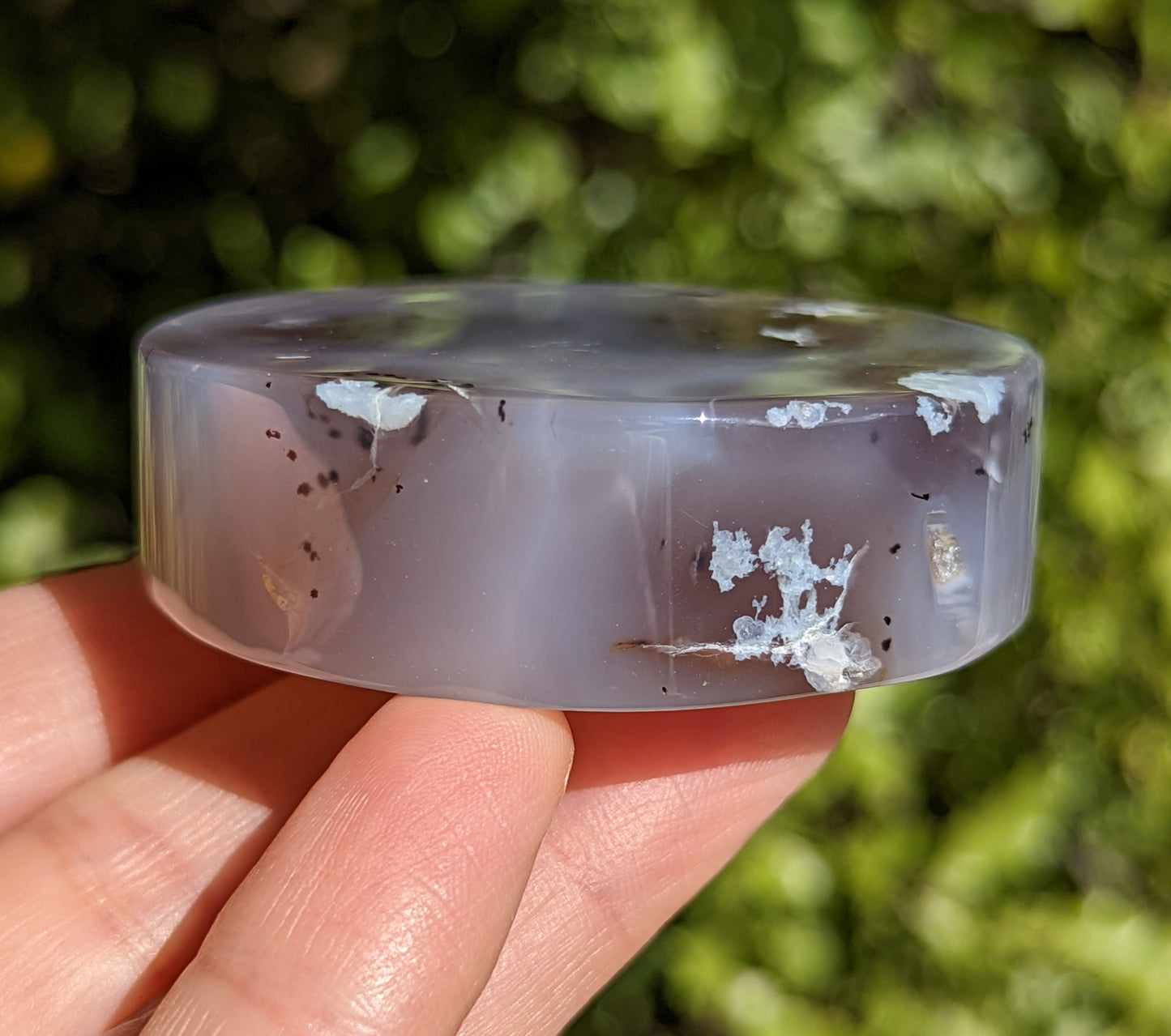 Flower Agate Coaster with Dendrite