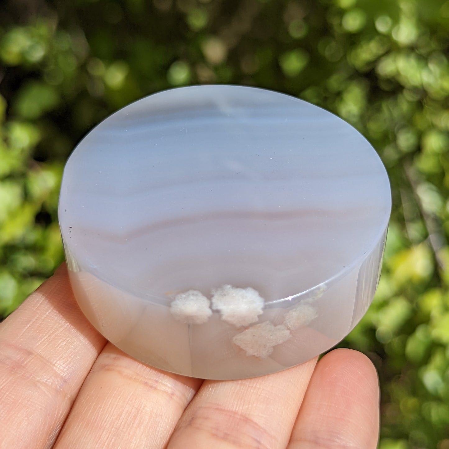 Flower Agate Coaster