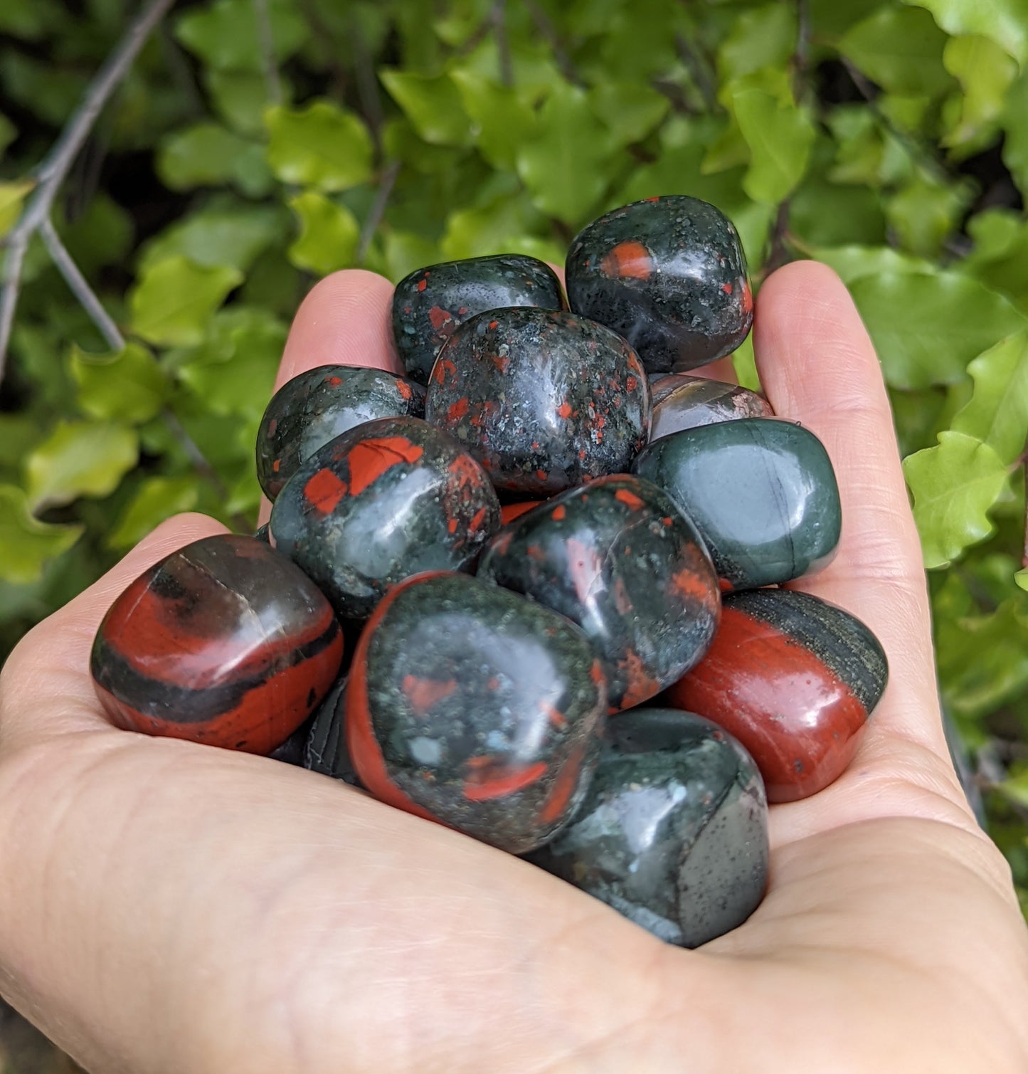 Bloodstone Jasper Tumbles