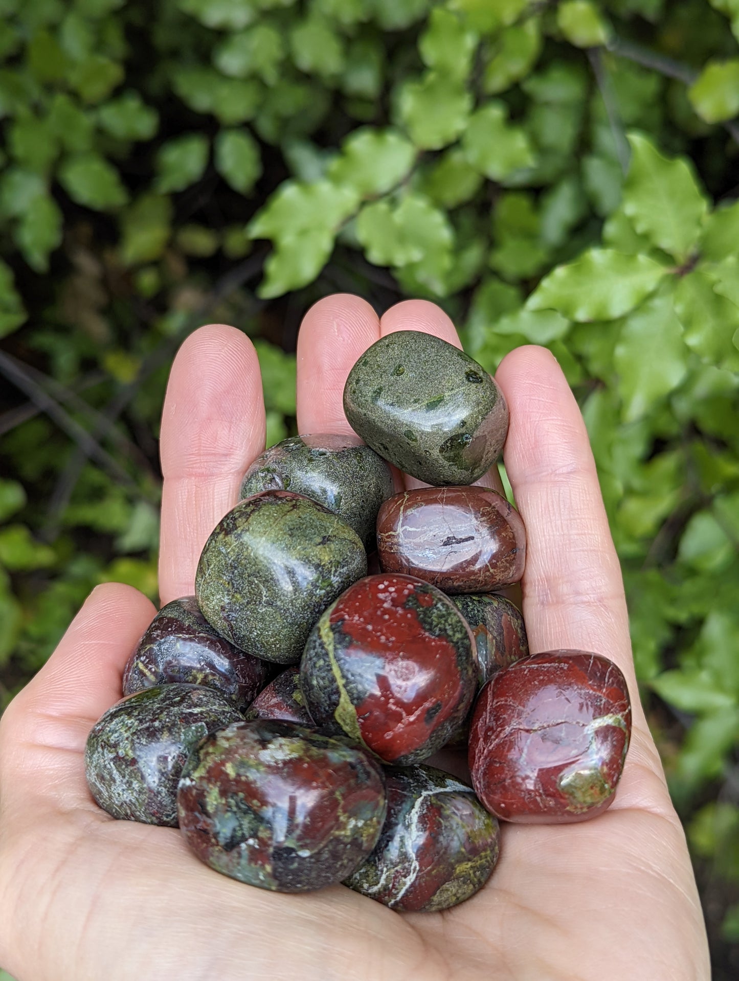 Dragons Blood Jasper Tumbles