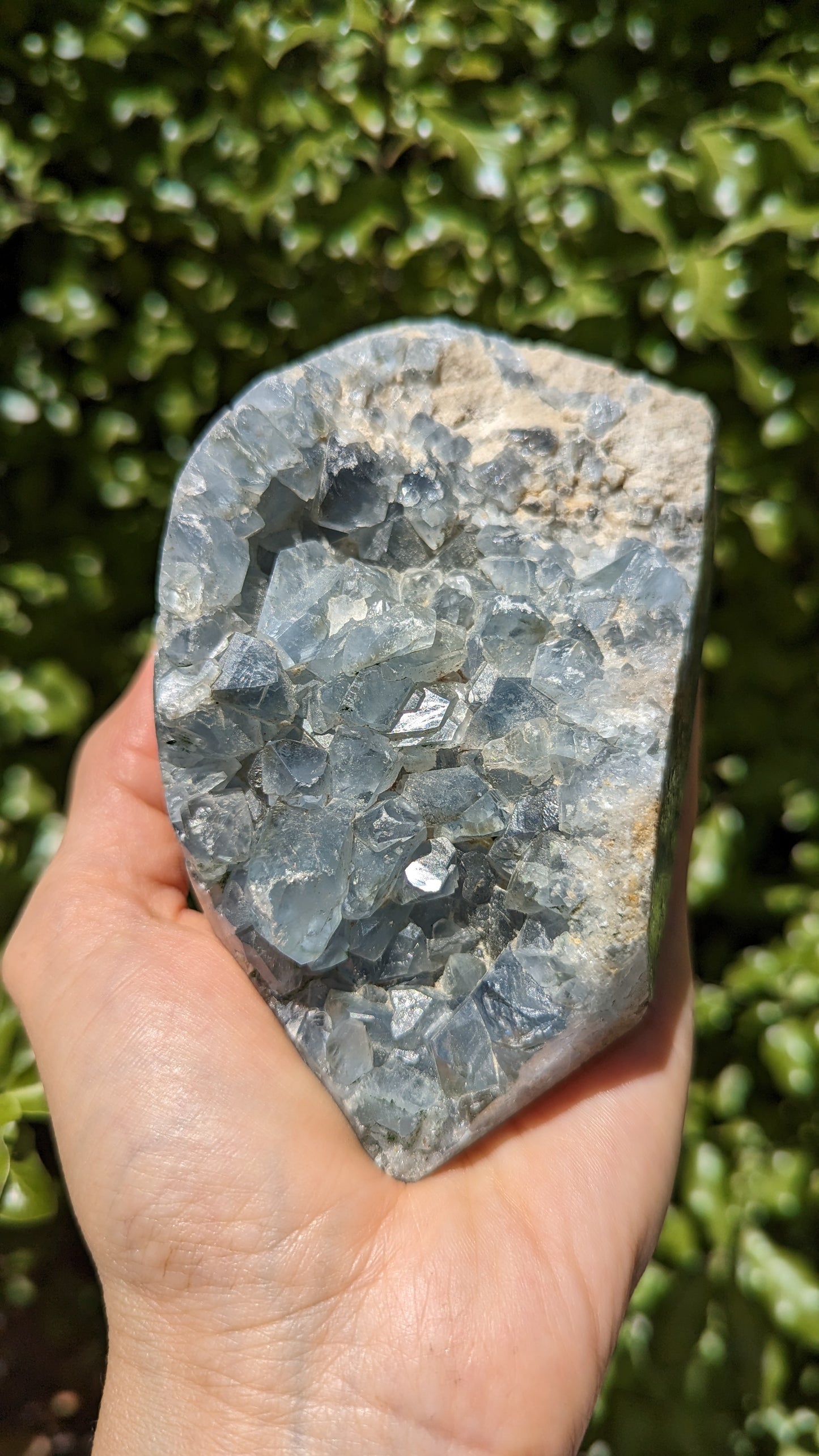 Blue Celestite Geode