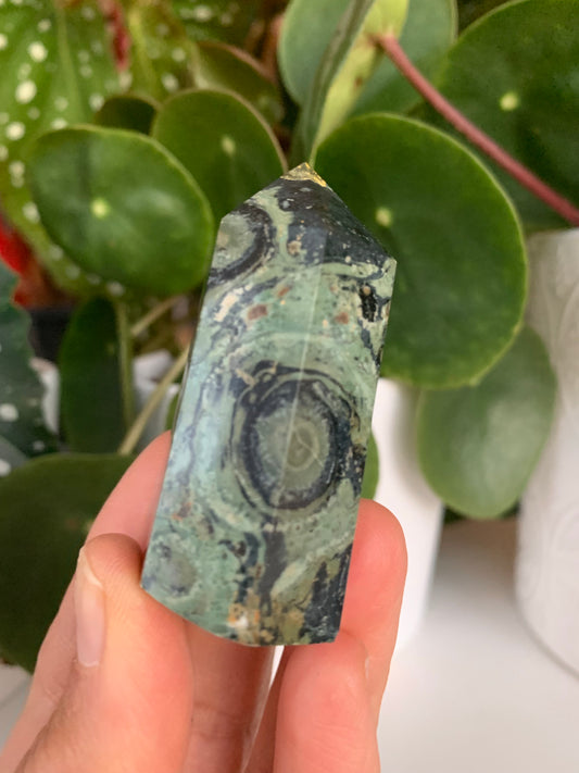 Kambaba Crocodile Jasper Tower