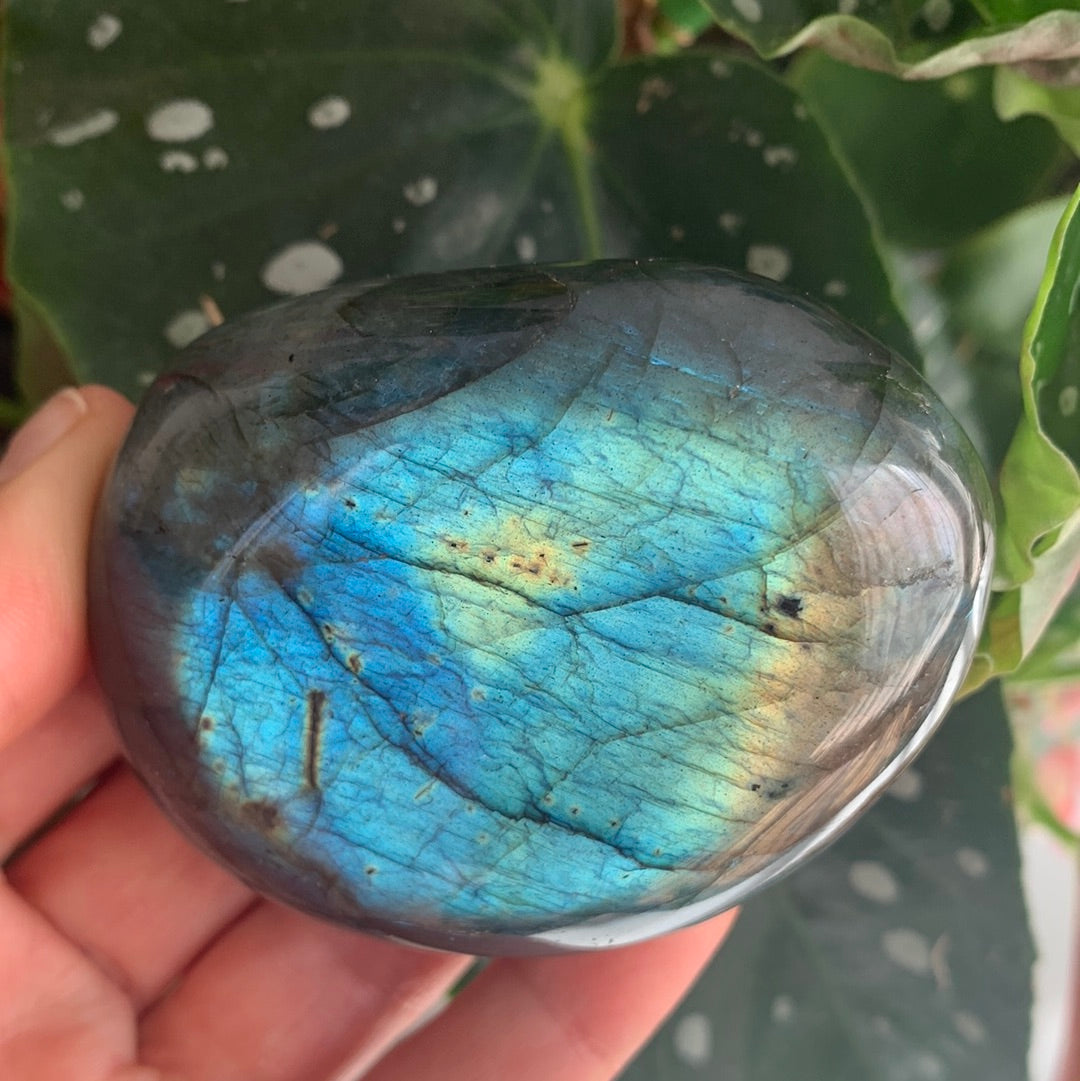 Labradorite Palm Stone