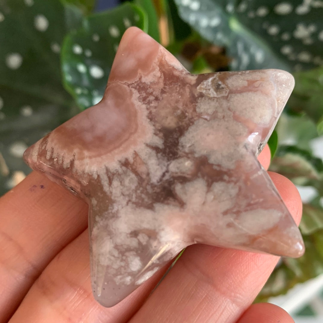 Flower Agate Star