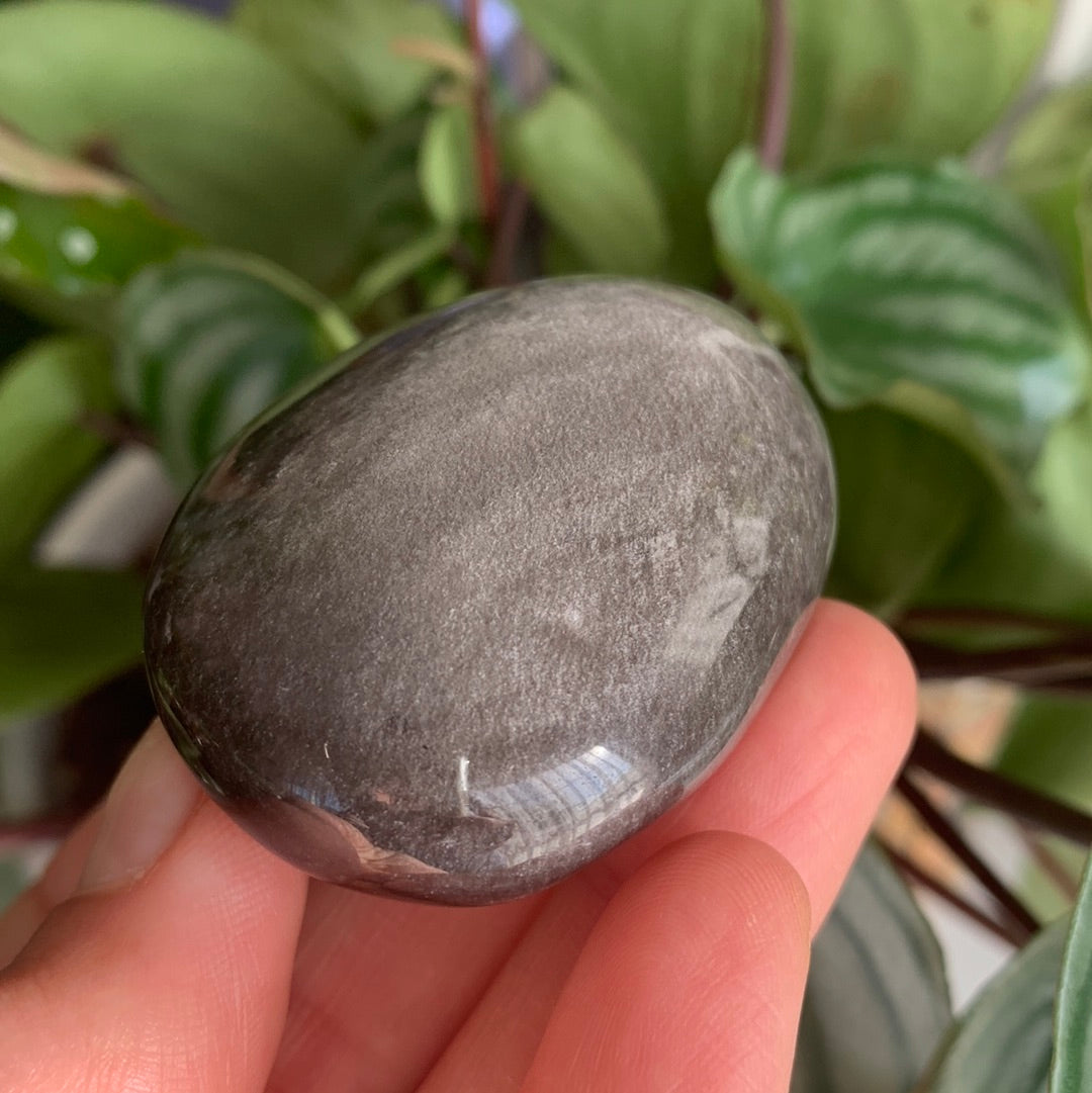 Silver Sheen Obsidian Palm Stone