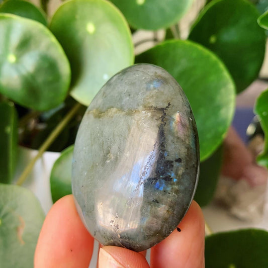 Labradorite Palm Stone