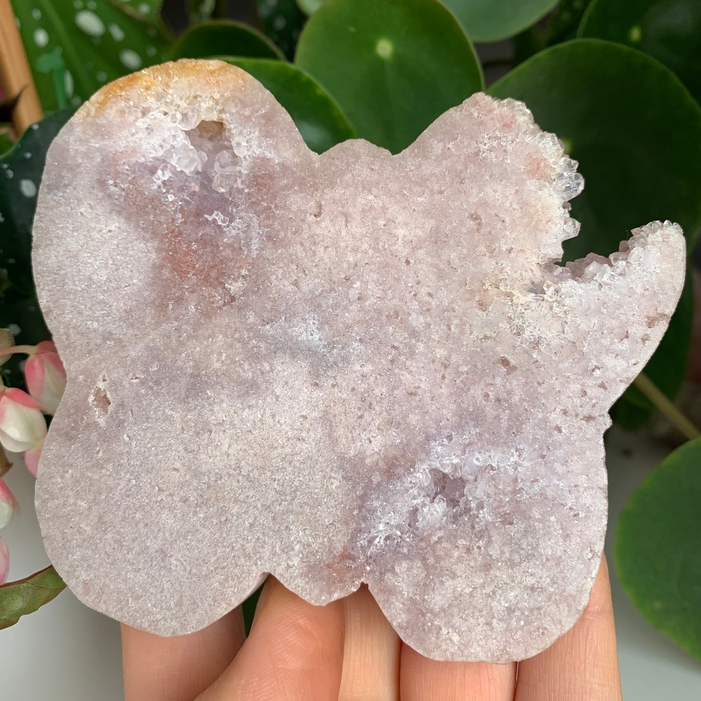 Pink Amethyst Butterfly with druzy