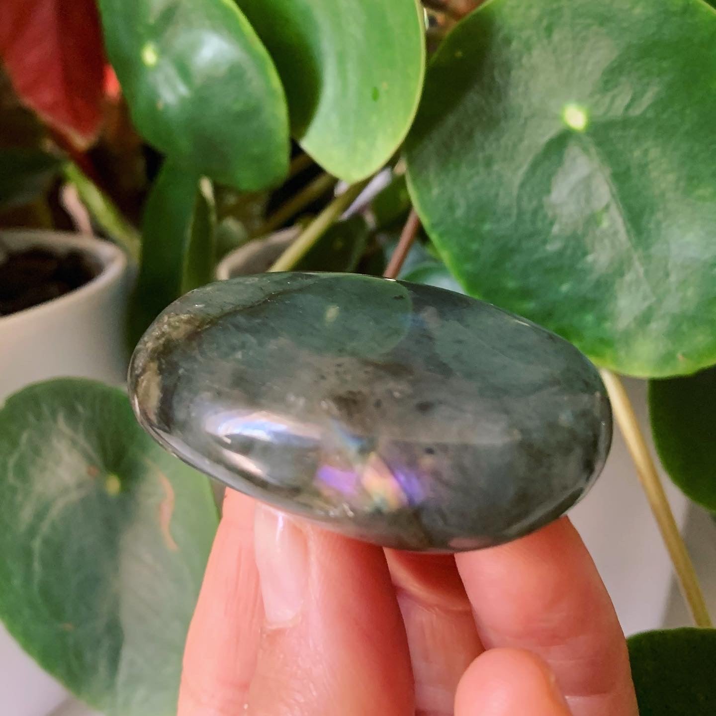Labradorite Palm Stone
