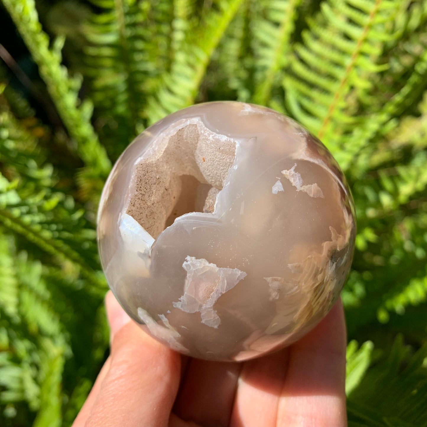 Black Flower Agate Sphere