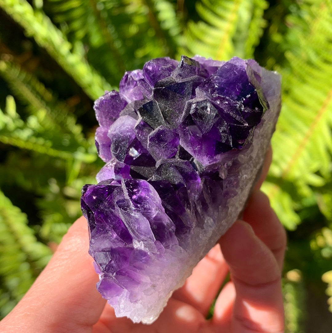 Amethyst Cluster