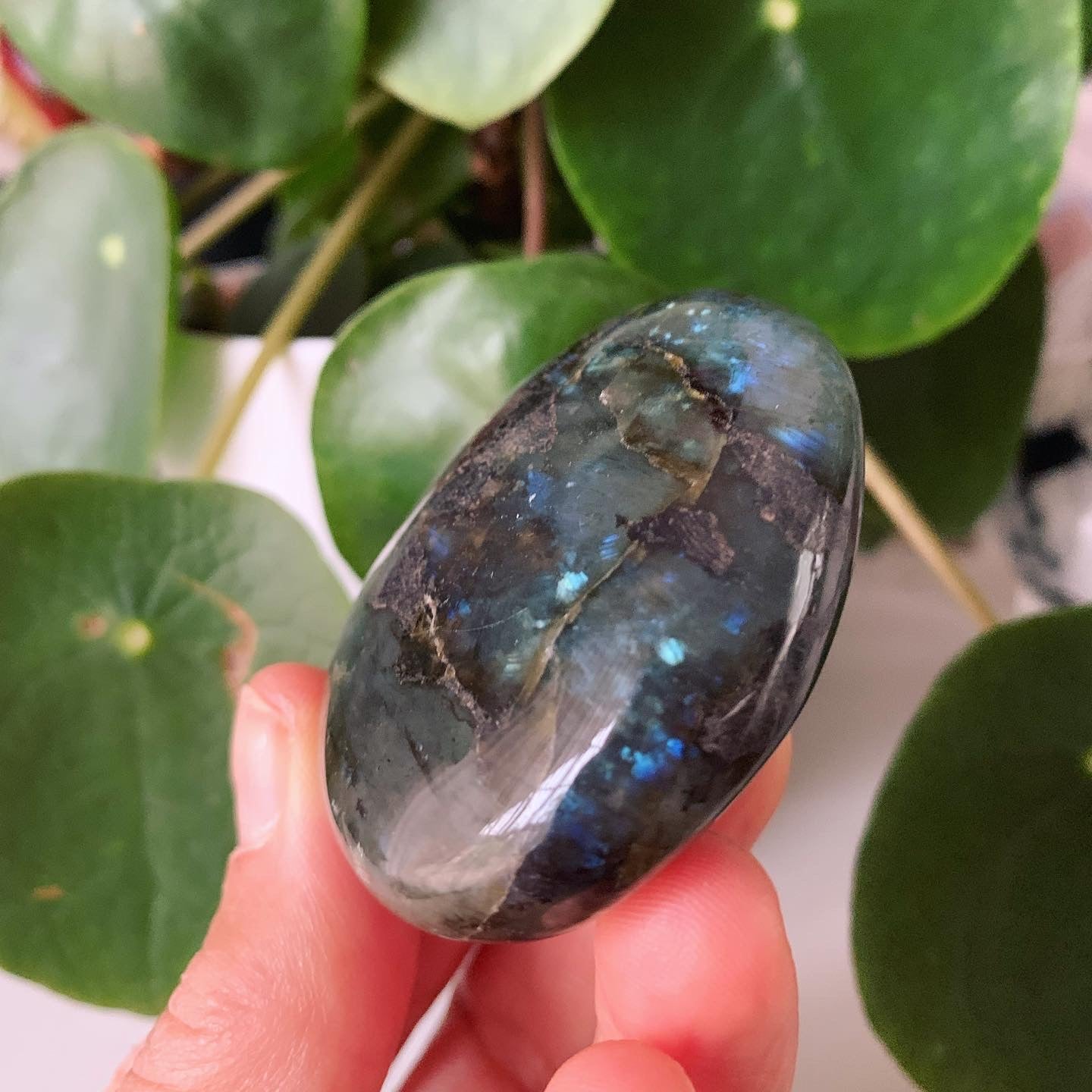 Labradorite Palm Stone