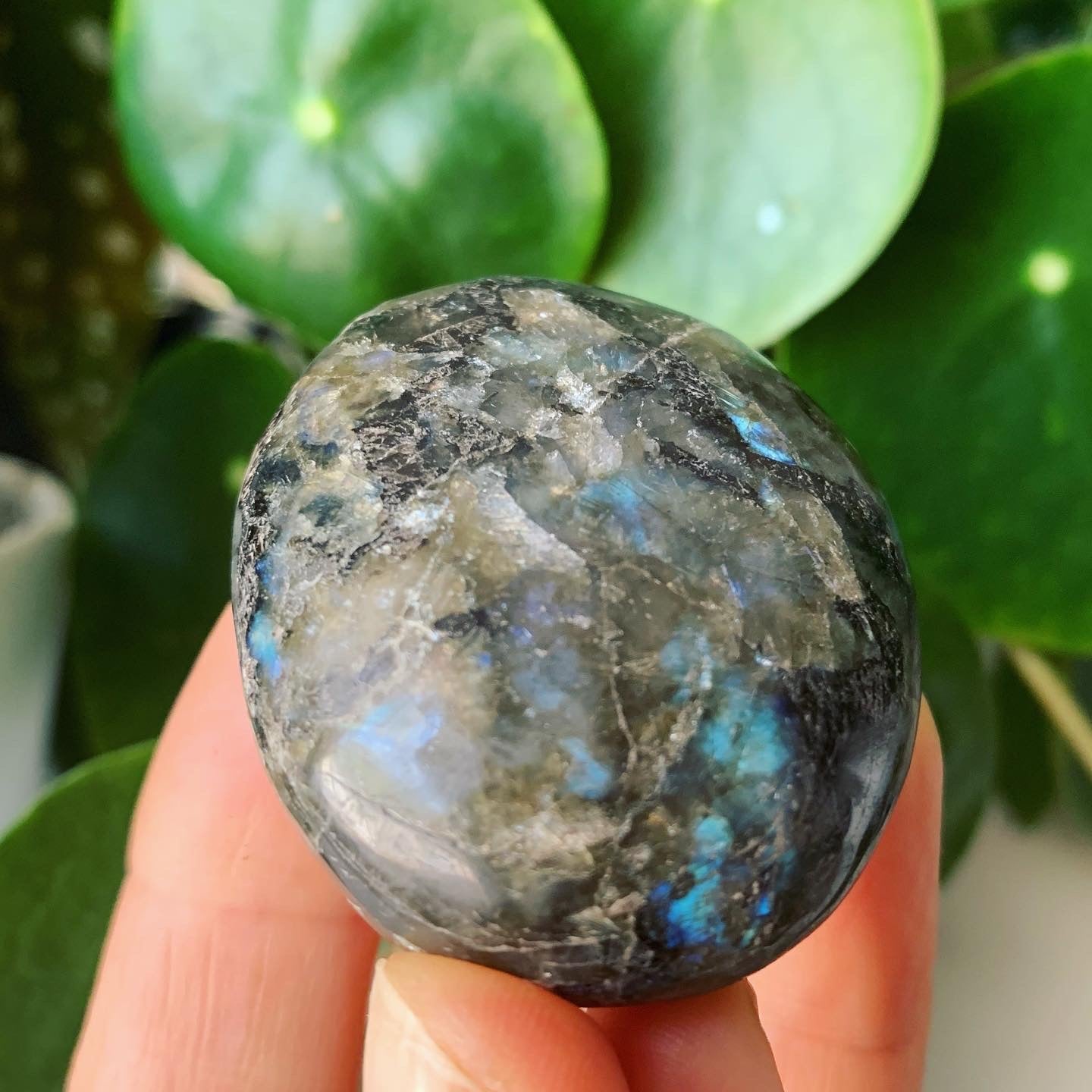 Labradorite Palm Stone