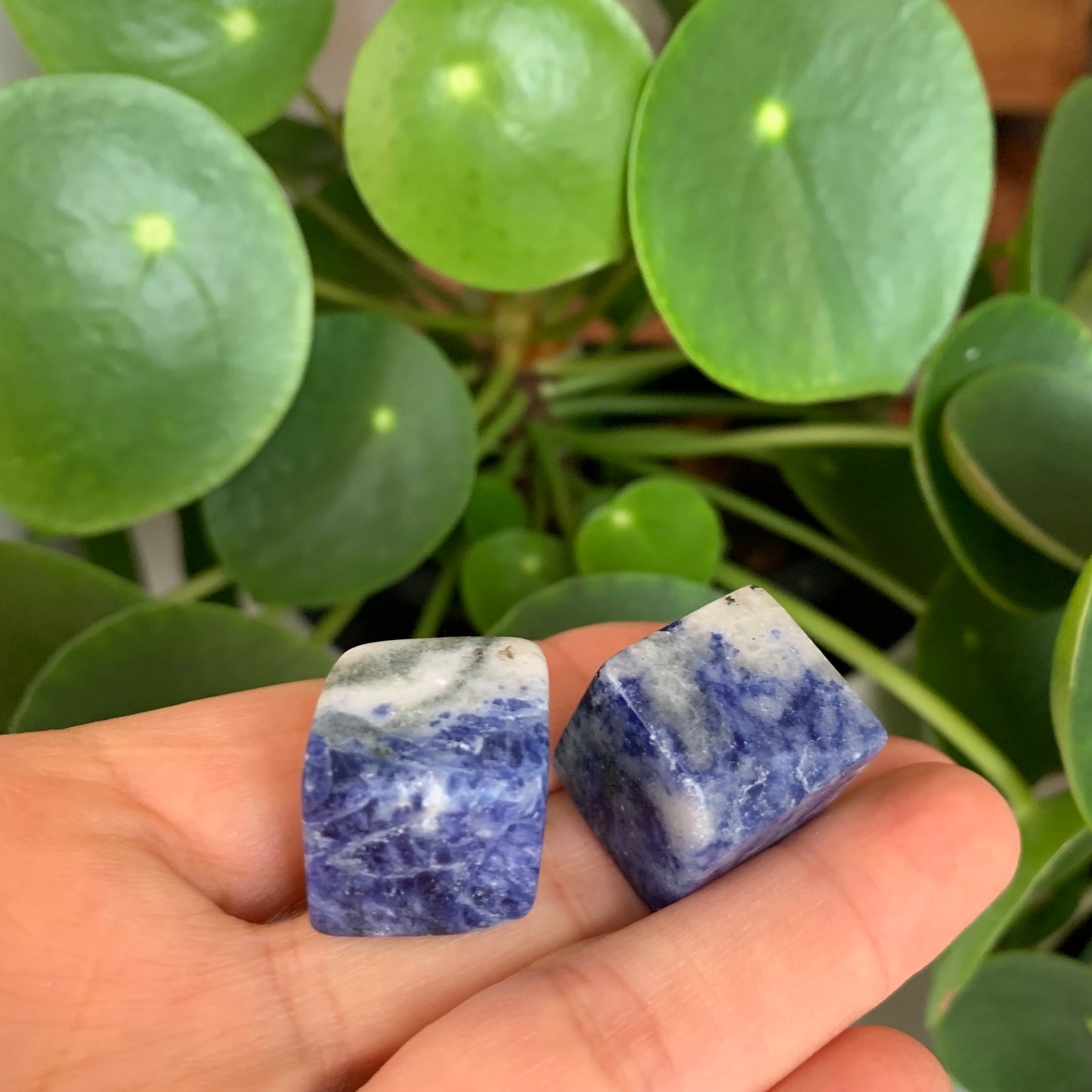 Sodalite Cube Tumbles