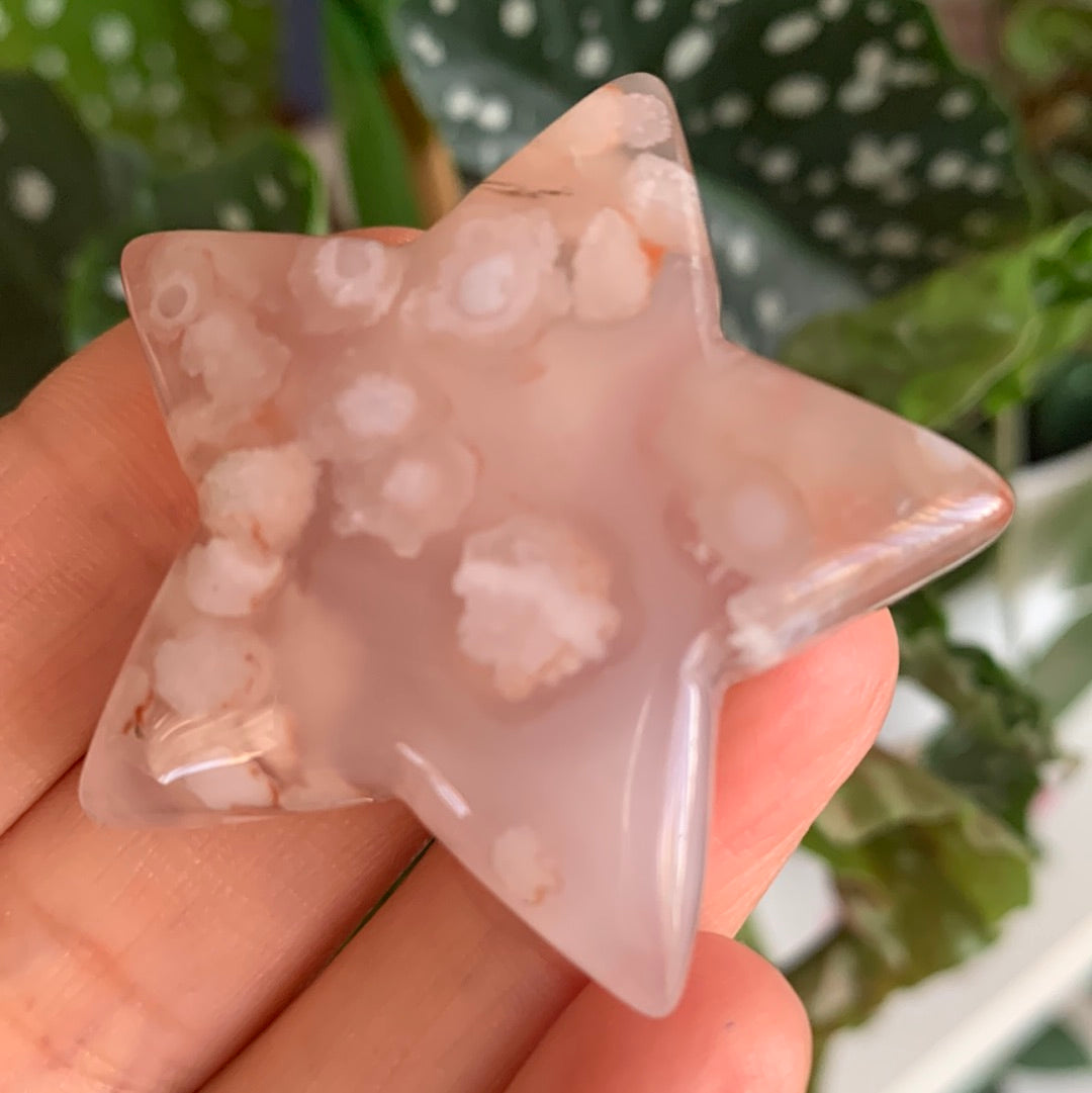 Flower Agate Star