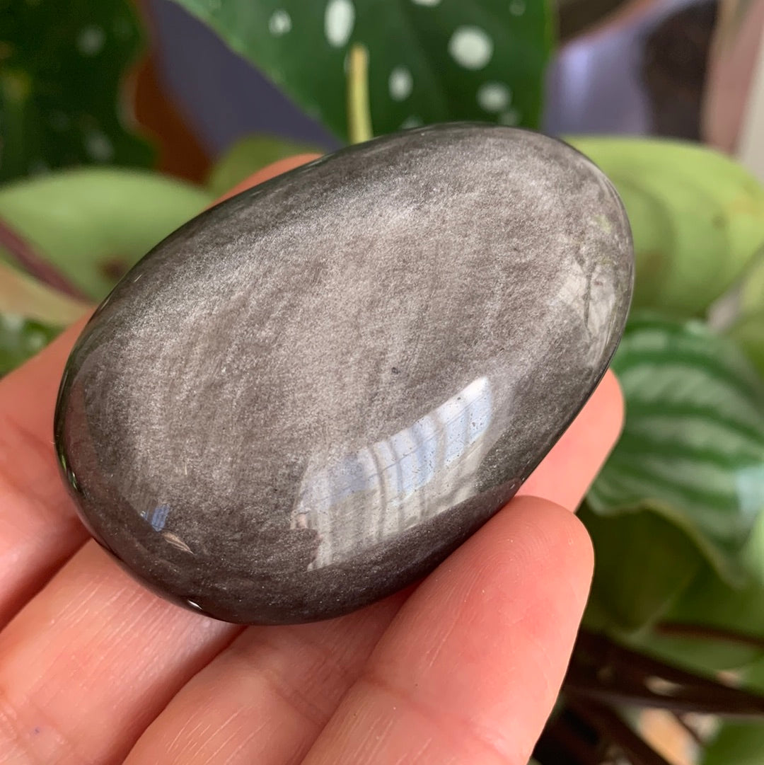 Silver Sheen Obsidian Palm Stone