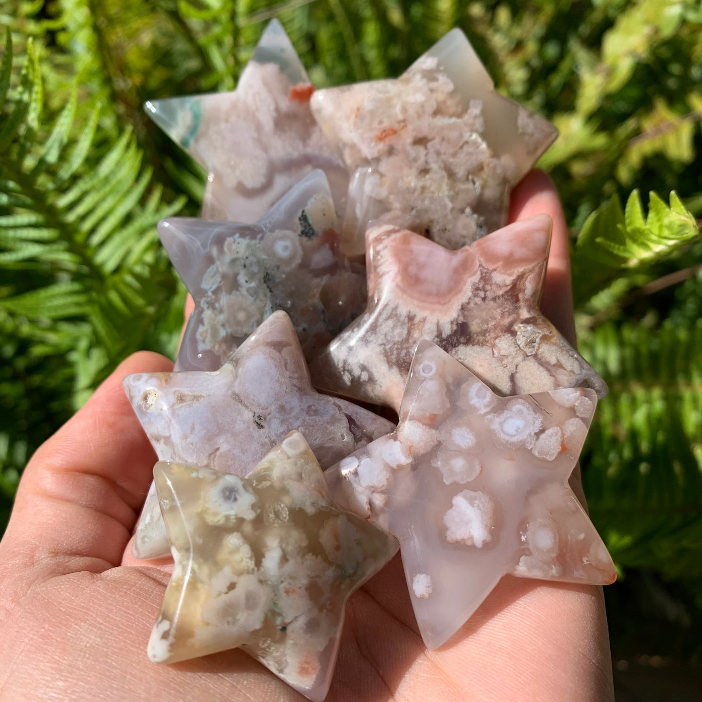 Flower Agate Star