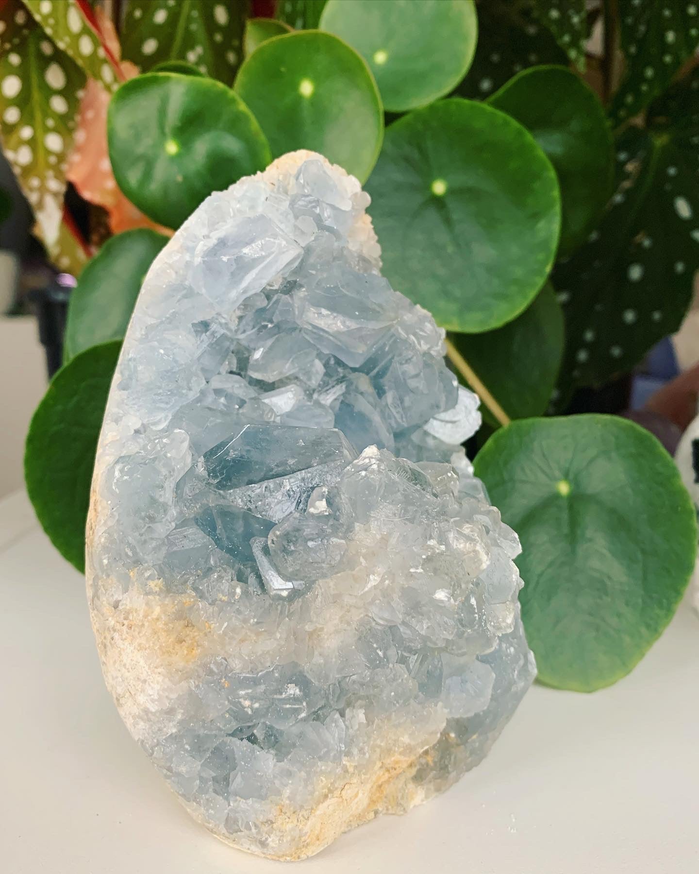 Blue Celestite Geode
