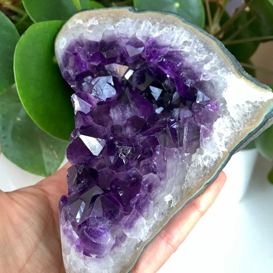Amethyst Cluster
