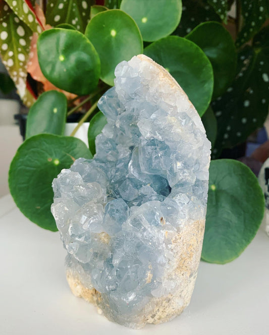 Blue Celestite Geode