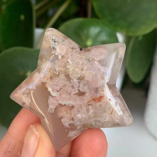 Flower Agate Star