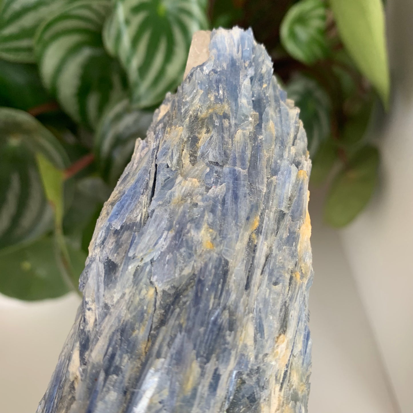 Blue Kyanite Cluster