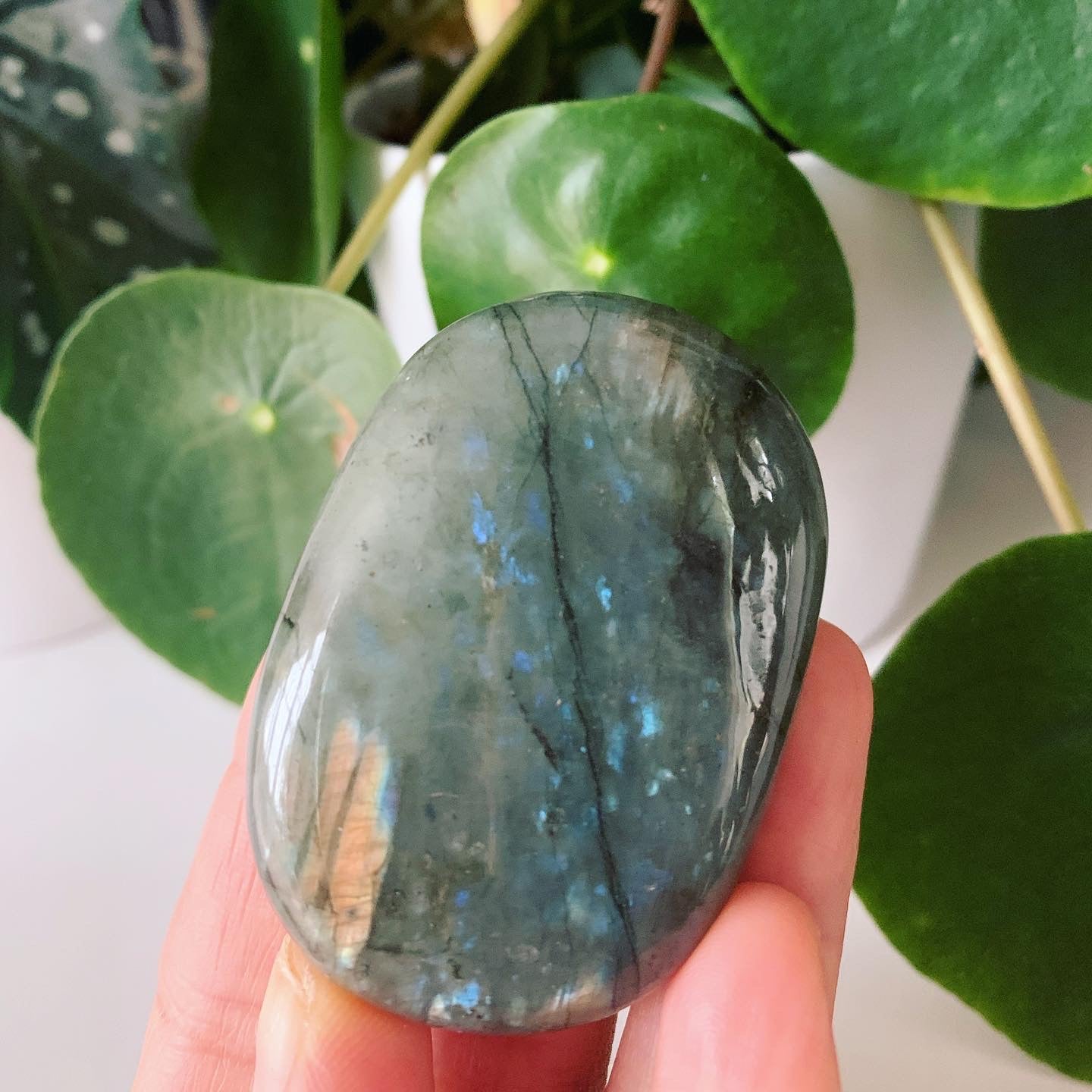 Labradorite Palm Stone