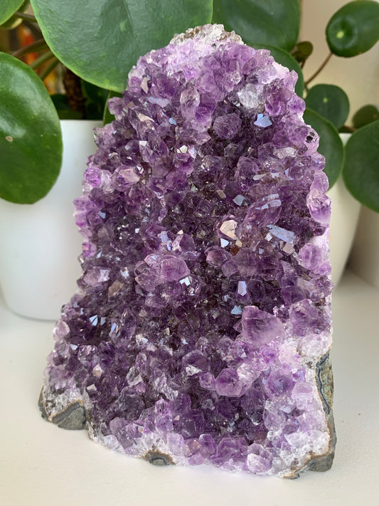 Amethyst Cluster