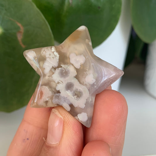 Flower Agate Star