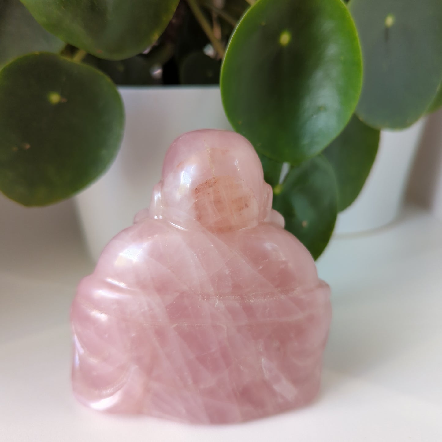 Rose Quartz Laughing Buddha Large