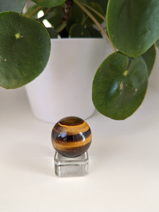 Yellow Tigers Eye Sphere
