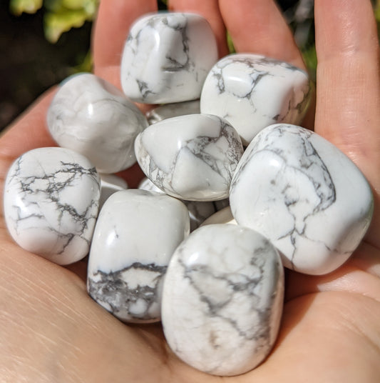 Howlite Tumbles