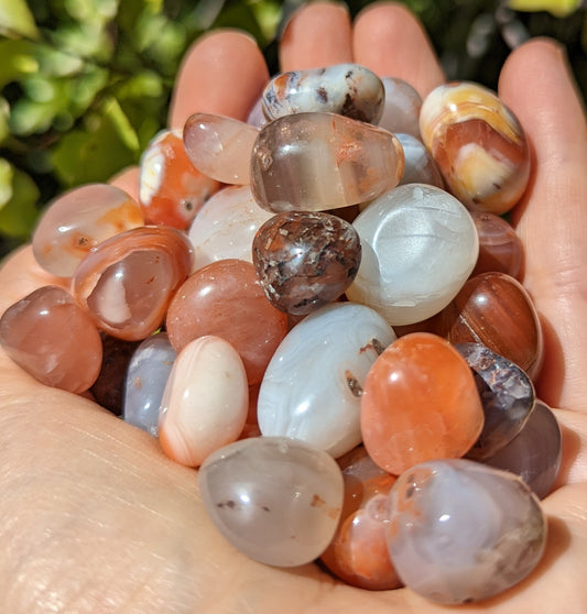 Red Agate Tumbles Small