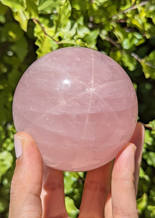 Rose Quartz Sphere with Strong Star (Asterim)