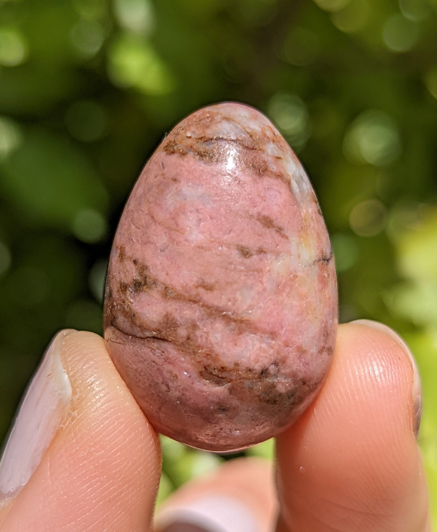 Crystal Mini Eggs - Black Obsidian, Sodalite, Red Jasper, Tigers Eye & Pink Rhodnite