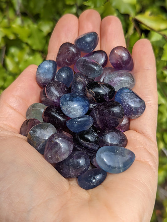 Fluorite Tumbles Extra Small Mixed