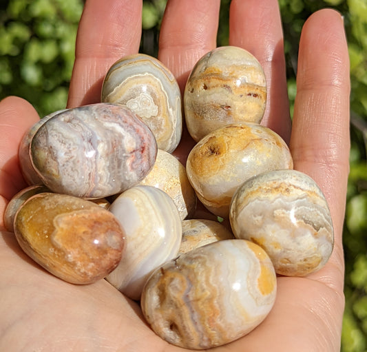 Crazy Lace Agate Tumbles