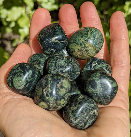 Kambaba Crocodile Jasper Tumbles